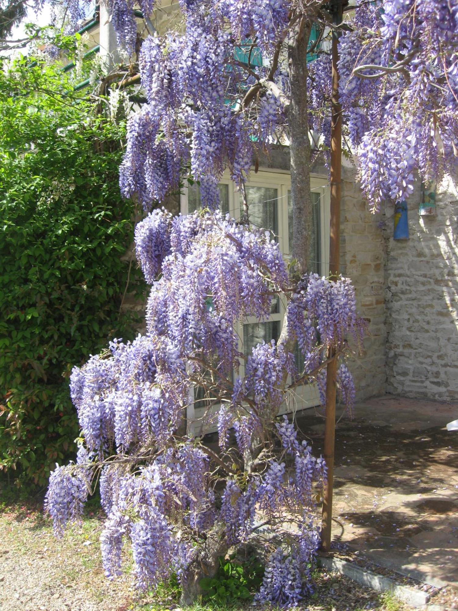 Agriturismo Cascina Serra Cossano Belbo Exterior photo